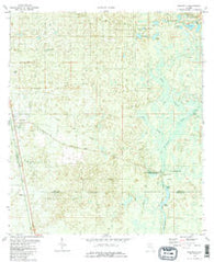 Woodville Florida Historical topographic map, 1:24000 scale, 7.5 X 7.5 Minute, Year 1981