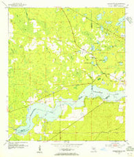 Yankeetown SE Florida Historical topographic map, 1:24000 scale, 7.5 X 7.5 Minute, Year 1954