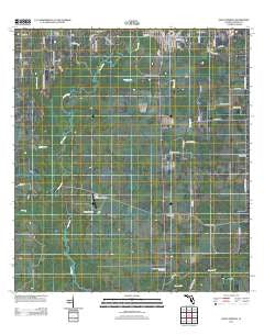 Zolfo Springs Florida Historical topographic map, 1:24000 scale, 7.5 X 7.5 Minute, Year 2012