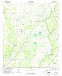 Albany NE Georgia Historical topographic map, 1:24000 scale, 7.5 X 7.5 Minute, Year 1973