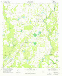 Albany NE Georgia Historical topographic map, 1:24000 scale, 7.5 X 7.5 Minute, Year 1973