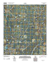 Albany NE Georgia Historical topographic map, 1:24000 scale, 7.5 X 7.5 Minute, Year 2011