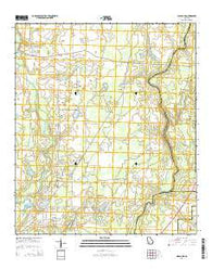 Albany NE Georgia Current topographic map, 1:24000 scale, 7.5 X 7.5 Minute, Year 2014