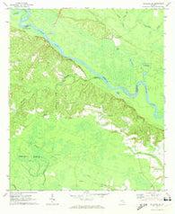 Altamaha SE Georgia Historical topographic map, 1:24000 scale, 7.5 X 7.5 Minute, Year 1970