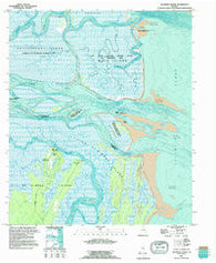 Altamaha Sound Georgia Historical topographic map, 1:24000 scale, 7.5 X 7.5 Minute, Year 1993