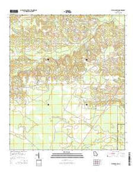 Altamaha SW Georgia Current topographic map, 1:24000 scale, 7.5 X 7.5 Minute, Year 2014