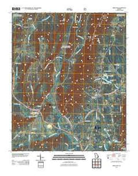 Armuchee Georgia Historical topographic map, 1:24000 scale, 7.5 X 7.5 Minute, Year 2011