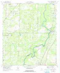 Baconton North Georgia Historical topographic map, 1:24000 scale, 7.5 X 7.5 Minute, Year 1974