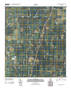 Baconton South Georgia Historical topographic map, 1:24000 scale, 7.5 X 7.5 Minute, Year 2011