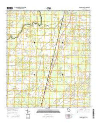 Baconton South Georgia Current topographic map, 1:24000 scale, 7.5 X 7.5 Minute, Year 2014