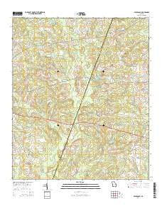 Bay Branch Georgia Current topographic map, 1:24000 scale, 7.5 X 7.5 Minute, Year 2014