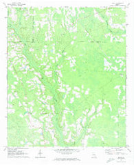 Beach Georgia Historical topographic map, 1:24000 scale, 7.5 X 7.5 Minute, Year 1971