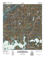 Beachton Georgia Historical topographic map, 1:24000 scale, 7.5 X 7.5 Minute, Year 2011