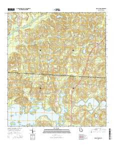 Beachton Georgia Current topographic map, 1:24000 scale, 7.5 X 7.5 Minute, Year 2014