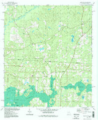 Beachton Georgia Historical topographic map, 1:24000 scale, 7.5 X 7.5 Minute, Year 1994