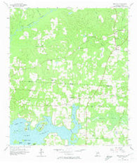 Beachton Georgia Historical topographic map, 1:24000 scale, 7.5 X 7.5 Minute, Year 1957