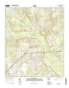 Bellevue Georgia Current topographic map, 1:24000 scale, 7.5 X 7.5 Minute, Year 2014