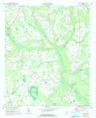 Bellevue Georgia Historical topographic map, 1:24000 scale, 7.5 X 7.5 Minute, Year 1974