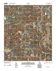 Benevolence Georgia Historical topographic map, 1:24000 scale, 7.5 X 7.5 Minute, Year 2011