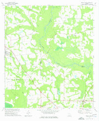 Berlin East Georgia Historical topographic map, 1:24000 scale, 7.5 X 7.5 Minute, Year 1974