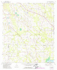 Berlin West Georgia Historical topographic map, 1:24000 scale, 7.5 X 7.5 Minute, Year 1978