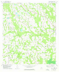 Berlin West Georgia Historical topographic map, 1:24000 scale, 7.5 X 7.5 Minute, Year 1978
