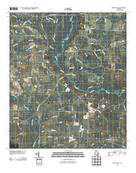 Berlin East Georgia Historical topographic map, 1:24000 scale, 7.5 X 7.5 Minute, Year 2011