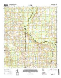 Berlin East Georgia Current topographic map, 1:24000 scale, 7.5 X 7.5 Minute, Year 2014