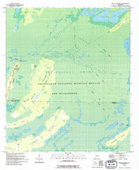 Billys Island Georgia Historical topographic map, 1:24000 scale, 7.5 X 7.5 Minute, Year 1994