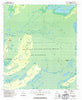 Billys Island Georgia Historical topographic map, 1:24000 scale, 7.5 X 7.5 Minute, Year 1994