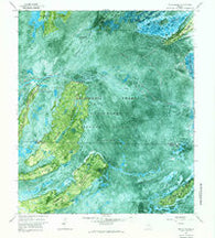 Billys Island Georgia Historical topographic map, 1:24000 scale, 7.5 X 7.5 Minute, Year 1966