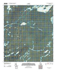 Billys Island Georgia Historical topographic map, 1:24000 scale, 7.5 X 7.5 Minute, Year 2011