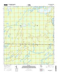 Billys Island Georgia Current topographic map, 1:24000 scale, 7.5 X 7.5 Minute, Year 2014