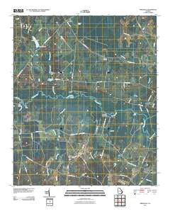 Birdsville Georgia Historical topographic map, 1:24000 scale, 7.5 X 7.5 Minute, Year 2011