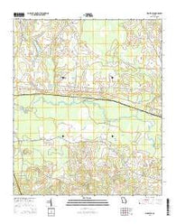 Birdsville Georgia Current topographic map, 1:24000 scale, 7.5 X 7.5 Minute, Year 2014