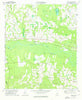 Birdsville Georgia Historical topographic map, 1:24000 scale, 7.5 X 7.5 Minute, Year 1974