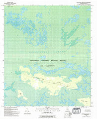 Blackjack Island Georgia Historical topographic map, 1:24000 scale, 7.5 X 7.5 Minute, Year 1994