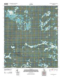 Blackjack Island Georgia Historical topographic map, 1:24000 scale, 7.5 X 7.5 Minute, Year 2011