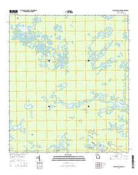 Blackjack Island Georgia Current topographic map, 1:24000 scale, 7.5 X 7.5 Minute, Year 2014