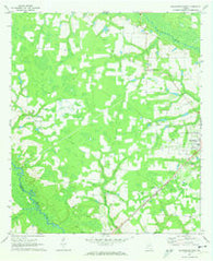 Blackshear East Georgia Historical topographic map, 1:24000 scale, 7.5 X 7.5 Minute, Year 1971