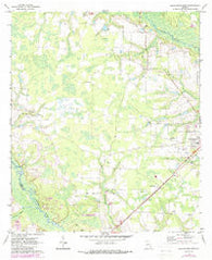 Blackshear West Georgia Historical topographic map, 1:24000 scale, 7.5 X 7.5 Minute, Year 1971