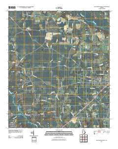 Blackshear West Georgia Historical topographic map, 1:24000 scale, 7.5 X 7.5 Minute, Year 2011