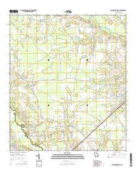 Blackshear West Georgia Current topographic map, 1:24000 scale, 7.5 X 7.5 Minute, Year 2014