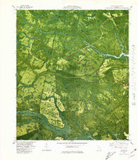 Bladen Georgia Historical topographic map, 1:24000 scale, 7.5 X 7.5 Minute, Year 1980