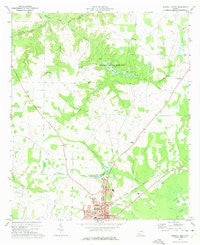 Blakely North Georgia Historical topographic map, 1:24000 scale, 7.5 X 7.5 Minute, Year 1973