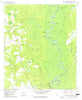 Blue Springs Landing Georgia Historical topographic map, 1:24000 scale, 7.5 X 7.5 Minute, Year 1978
