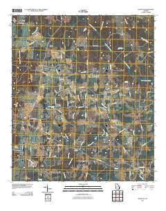 Bluffton Georgia Historical topographic map, 1:24000 scale, 7.5 X 7.5 Minute, Year 2011