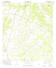 Bluffton Georgia Historical topographic map, 1:24000 scale, 7.5 X 7.5 Minute, Year 1973
