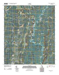 Boons Lake Georgia Historical topographic map, 1:24000 scale, 7.5 X 7.5 Minute, Year 2011