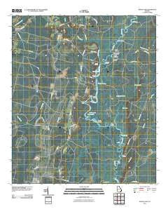 Boons Lake Georgia Historical topographic map, 1:24000 scale, 7.5 X 7.5 Minute, Year 2011